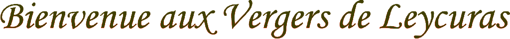 Bienvenue � Leycuras